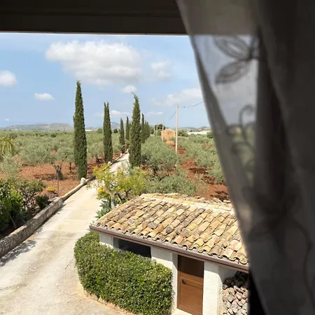 Le Zarafe