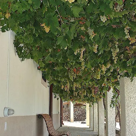 Le Zarafe Farm stay